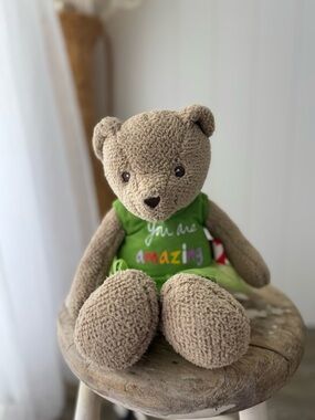 Hanny Girl Message Bear Plush 13” w/ You Are Amazing Shirt Tutu